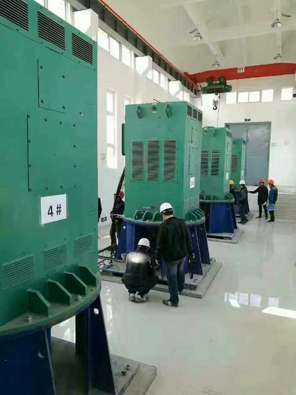 泾川某污水处理厂使用我厂的立式高压电机安装现场