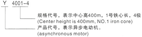 西安泰富西玛Y系列(H355-1000)高压泾川三相异步电机型号说明